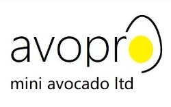Avopro Mini Avocado Ltd