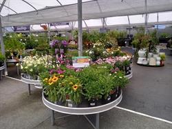 GardenBarn