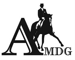 Auckland Manukau Dressage Group
