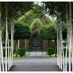 TreeChurch and Gardens