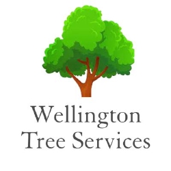 Wellington Tree Services