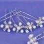 Hair Pins
