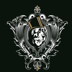 Dapper & Co NZ