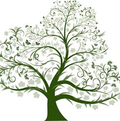 Shelley Tweedy & Associates Ltd