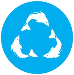 Sustainable Coastlines