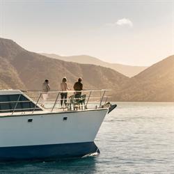 Marlborough Tour Company