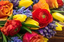 Auckland Horticultural Council Inc.