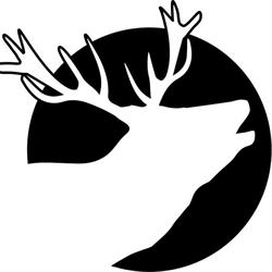 Roar Coffee Roasters