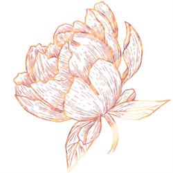 Pretty Posies