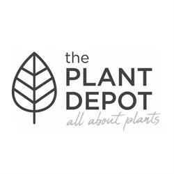 The Plant Depot