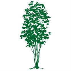New Vision Landscapes
