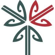 Community Networks Aotearoa
