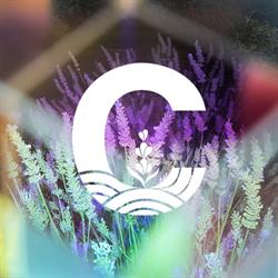 CCT Lavender Farm & Cafe