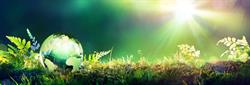 Eco Group NZ