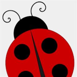 Ladybird Junction