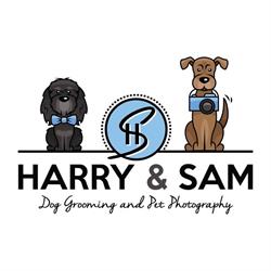 Harry and Sam