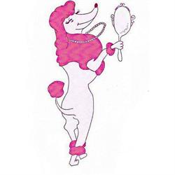 Boutique Dog Grooming
