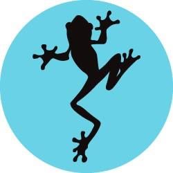 Spotted Frog Preschool