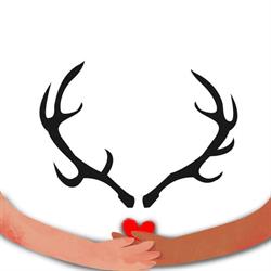 Five Stags Pirongia