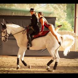 Kapiti Equestrian & Vaulting Club Inc