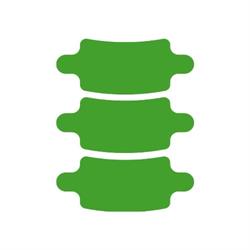 Living Chiropractic & Wellness, Pukekohe Chiropractors