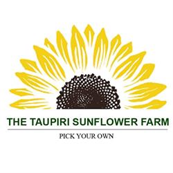 The Taupiri Sunflower Farm