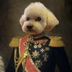 Lord Billingtons