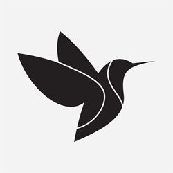 Immigration Consultancies Limited