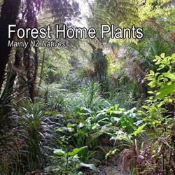 Forest Home Plants