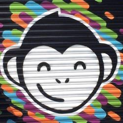 Bonobo NZ