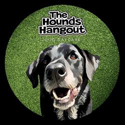 The Hounds Hangout Dog Daycare