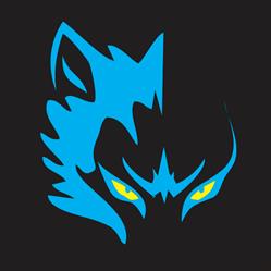 CrossFit Christchurch - Alpha Fitness