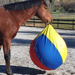 Serendipity Equine