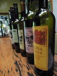 Purangi Winery