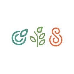 The Wellness Connection - Bay of Islands