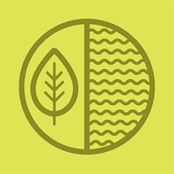 New Leaf Kombucha