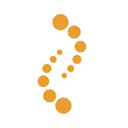 Genesis Chartered Accountants