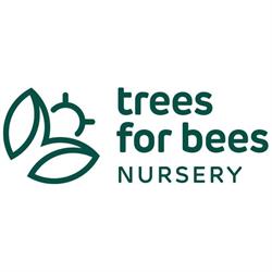 TreesforBees Nursery