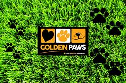 Golden Paws Ashburton