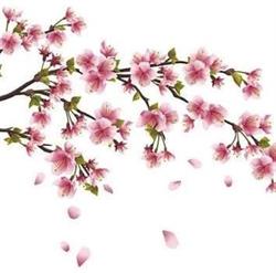 Time To Blossom