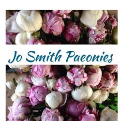 Jo Smith Paeonies