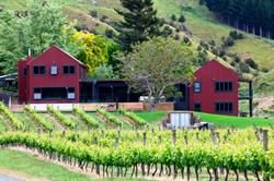 Kiwiesque - Luxury Vineyard Accommodation Hawke's Bay