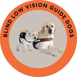 Blind Low Vision NZ Guide Dogs