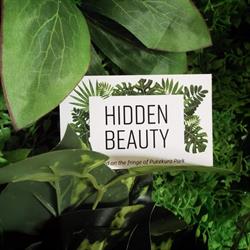 Hidden Beauty