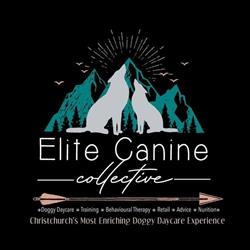 Elite Canine Collective Doggy Daycare