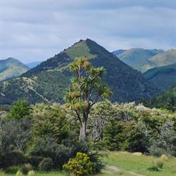 Island Hills Station