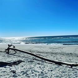 Haast Beach Motel