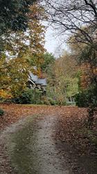 Burnside Homestead
