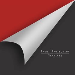 Paint Protection Services