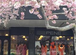 Pene' Design